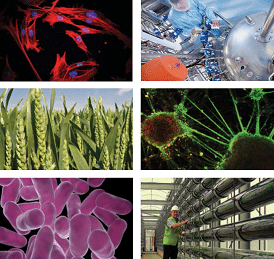 Automating Biologics – IChemE Meeting