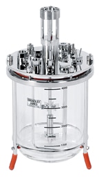 5L glass bioreactor